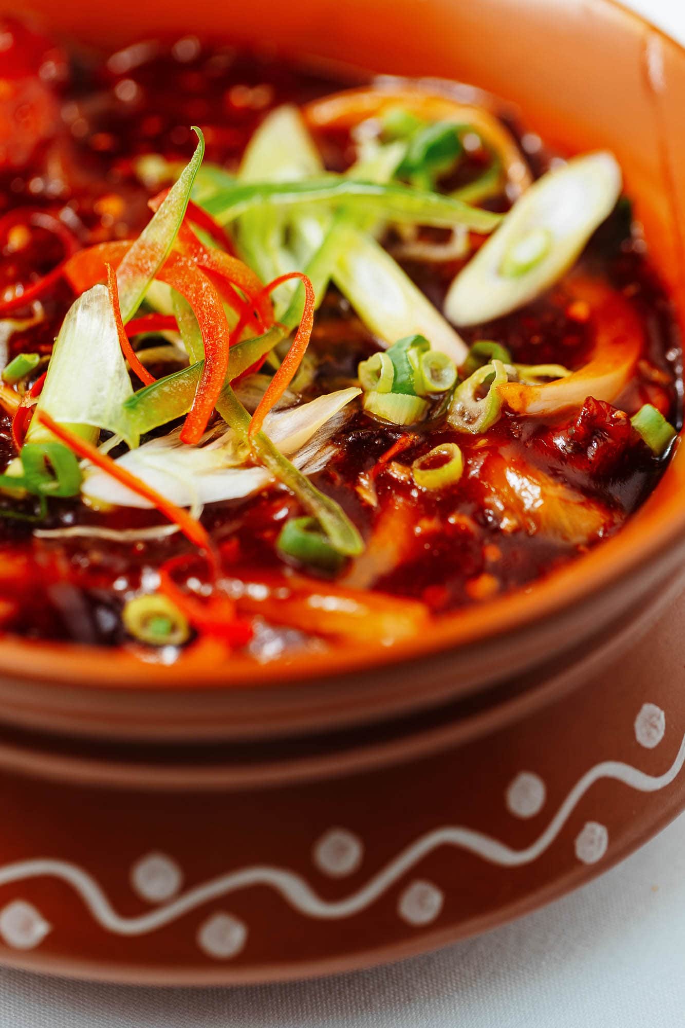 Restaurant food photography tips Spicy Chinese noodle soup with fresh scallions and vibrant vegetable toppings, served in a traditional terracotta bowl, showcasing colourful, delicious Asian cuisine.