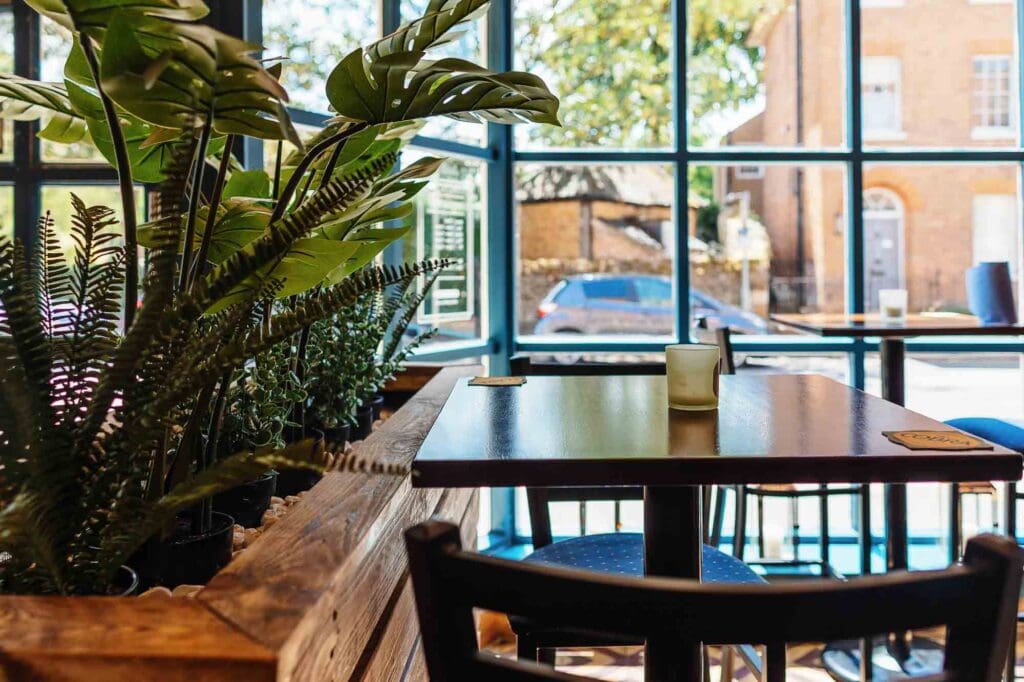 Bright and inviting café interior in Rutland with large windows, lush green plants, and a cozy wooden table, perfect for relaxing and enjoying quality food and drinks.