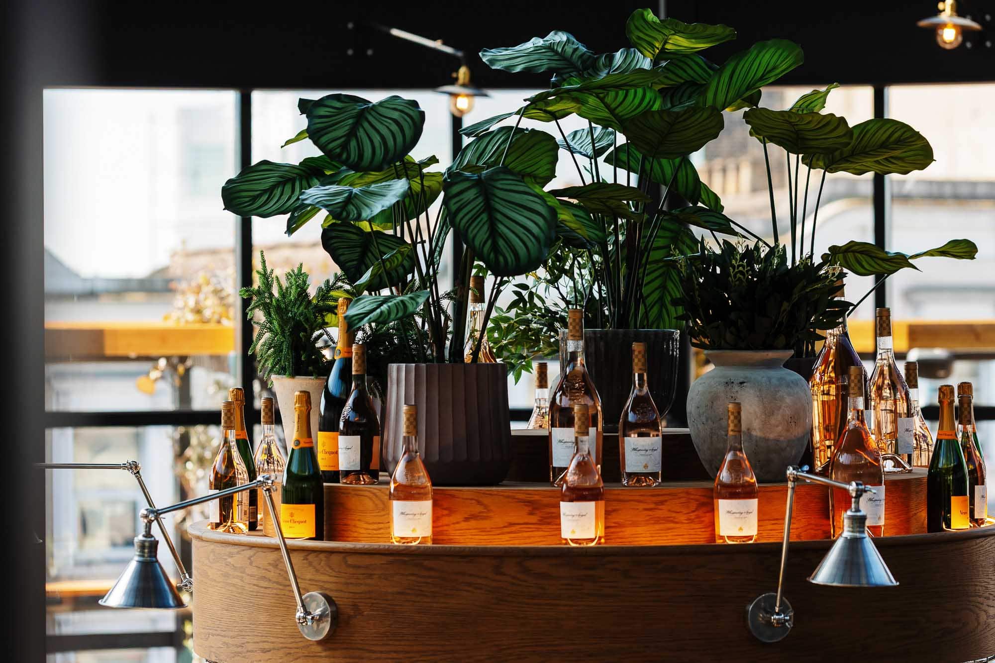 A stylish indoor setting featuring lush green plants in modern pots, surrounded by an array of bottled beverages on a wooden table, illuminated by warm ambient lighting.